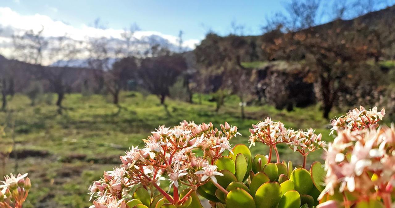 Vila Cortijo Aguacha Bayacas Exteriér fotografie