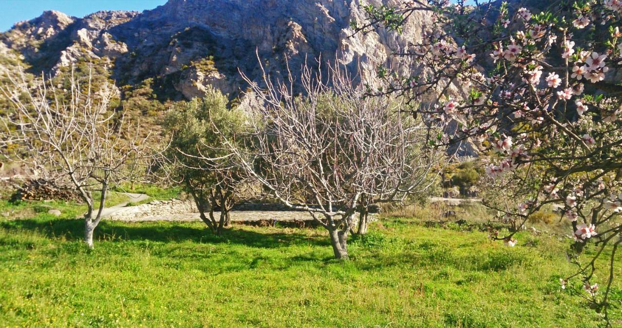 Vila Cortijo Aguacha Bayacas Exteriér fotografie