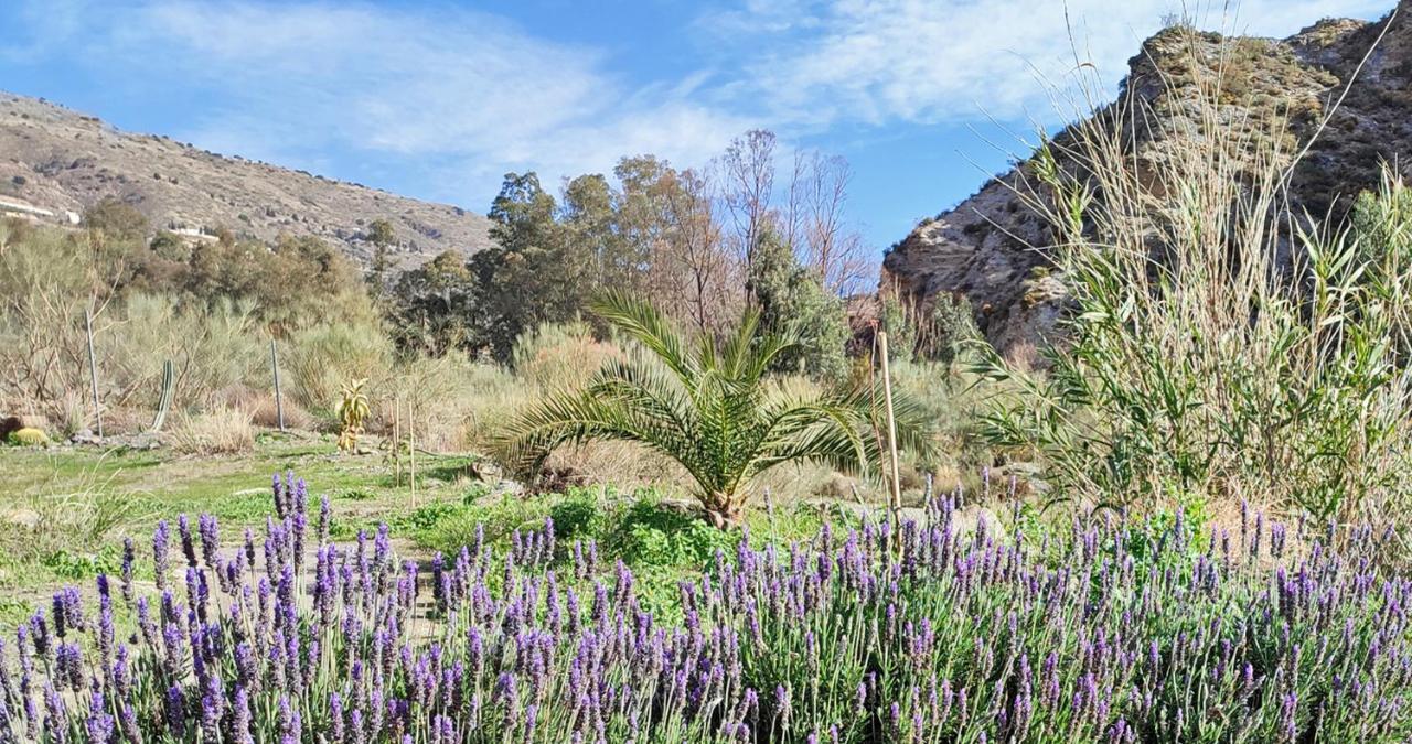 Vila Cortijo Aguacha Bayacas Exteriér fotografie