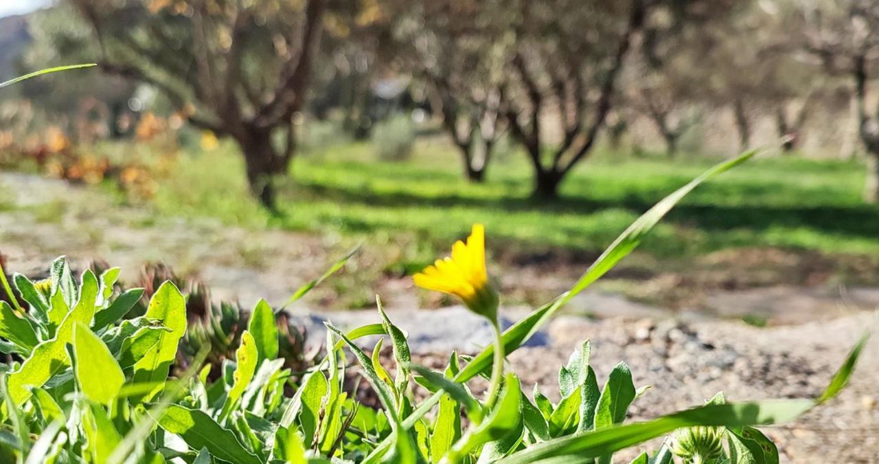 Vila Cortijo Aguacha Bayacas Exteriér fotografie
